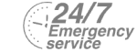 24/7 Emergency Service Pest Control in Mill Hill, NW7. Call Now! 020 8166 9746