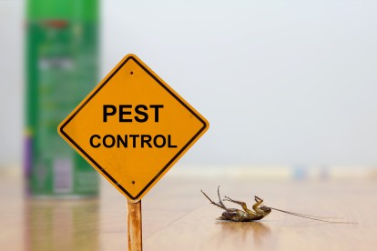 Pest Contol in Mill Hill, NW7. Call Now 020 8166 9746